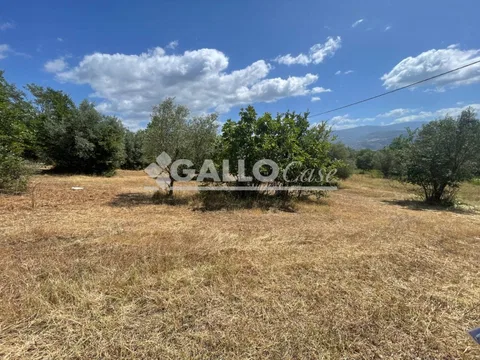 Terreno Agricolo in vendita a Rende, 10100mq AG3-8235